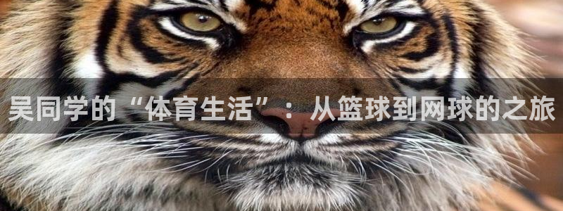 意昂4体育平台总代理：吴同学的“体育生活”：从篮球到网球的之旅