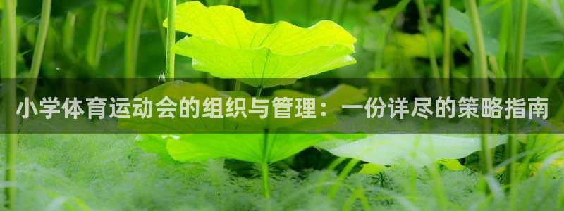 意昂4体育代理申请流程：小学体育运动会的组织与管理：一份详尽的策略指南
