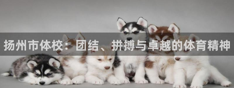 意昂4体育注册登录入口：扬州市体校：团结、拼搏与卓越的体育精神