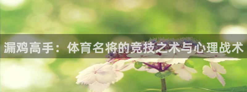 意昂4凯捷开号链接：漏鸡高手：体育名将的竞技之术与心理战术