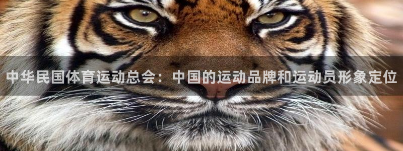 意昂4体育2官网入口：中华民国体育运动总会：中国的运动品牌和运动员形象定位