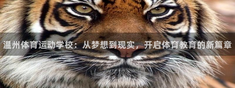 意昂4体育eon：温州体育运动学校：从梦想到现实，开启体育教育的新篇章