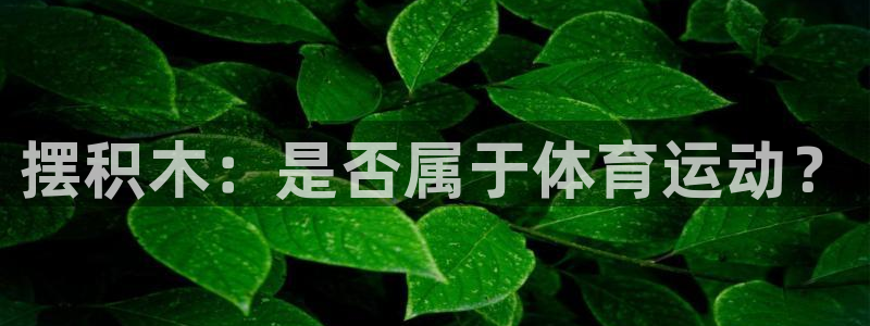 意昂42官网：摆积木：是否属于体育运动？