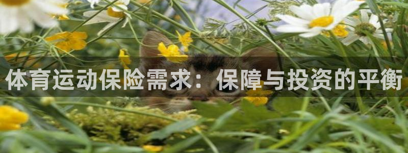 意昂43平台注册：体育运动保险需求：保障与投资的平衡