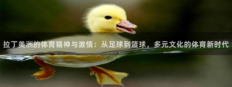 意昂4代理：拉丁美洲的体育精神与激情：从足球到篮球，多元文化的体育新时代