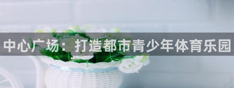 意昂4集团股票：中心广场：打造都市青少年体育乐园