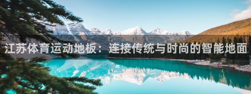 德国意昂4集团：江苏体育运动地板：连接传统与时尚的智能地面