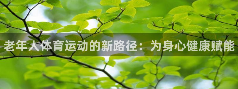 意昂45：老年人体育运动的新路径：为身心健康赋能
