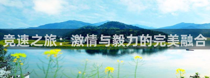 意昂4官网入口：竞速之旅：激情与毅力的完美融合