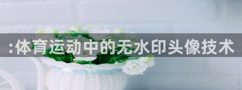 意昂4集团股票：:体育运动中的无水印头像技术