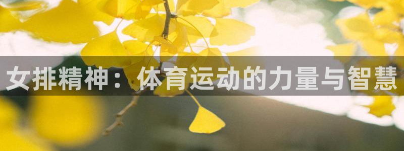 意昂43登录：女排精神：体育运动的力量与智慧