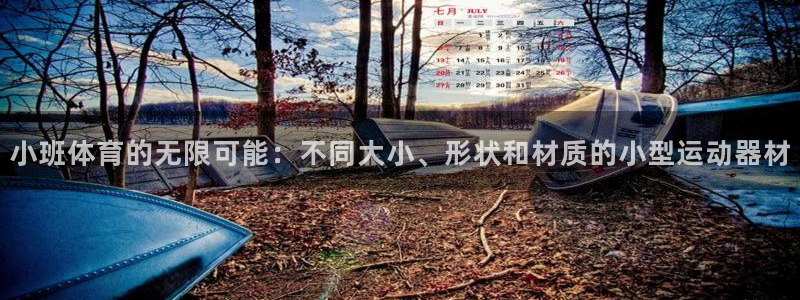 意昂4体育凯捷平台注册：小班体育的无限可能：不同大小、形状和材质的小型运动器材