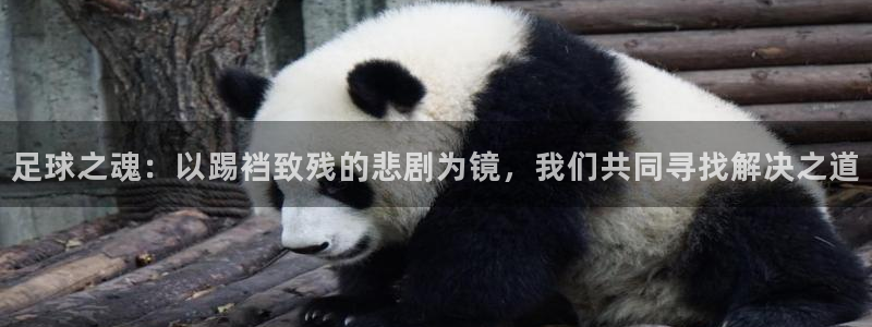 意昂4平台开户链接：足球之魂：以踢裆致残的悲剧为镜，我们共同寻找解决之道