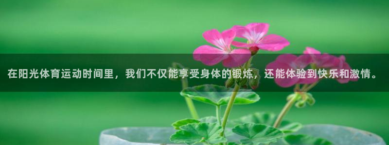 意昂4体育eon：在阳光体育运动时间里，我们不仅能享受身体的锻炼，还能体验到快乐和激情。