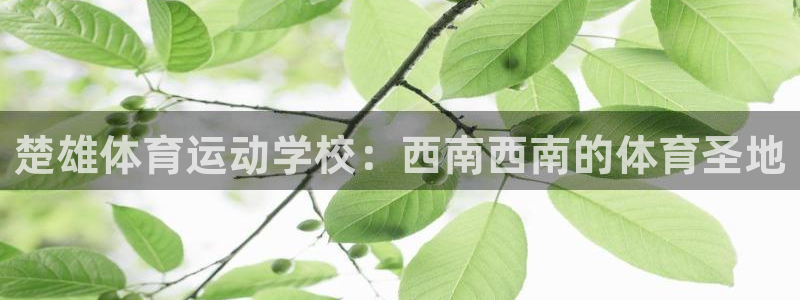 意昂4是谁开发的：楚雄体育运动学校：西南西南的体育圣地
