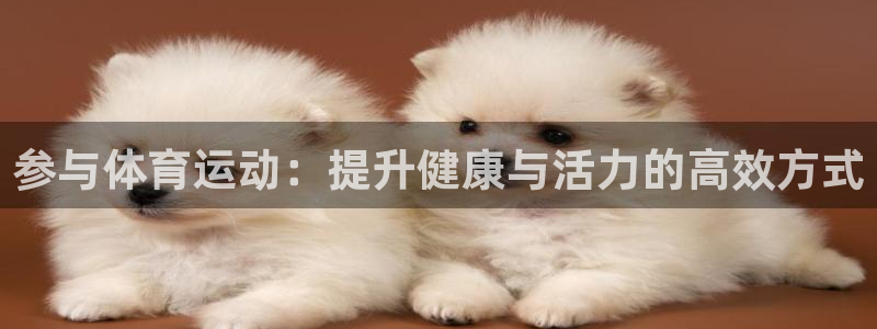 意昂42登录：参与体育运动：提升健康与活力的高效方式