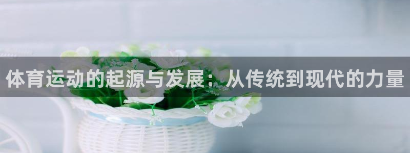 意昂4体育2：体育运动的起源与发展：从传统到现代的力量