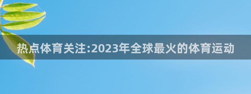意昂4平台注册：热点体育关注:2023年全球最火的体育运动