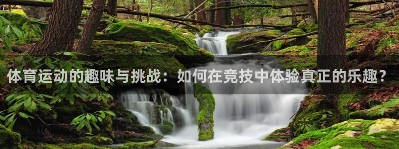 意昂4平台主管：体育运动的趣味与挑战：如何在竞技中体验真正的乐趣？