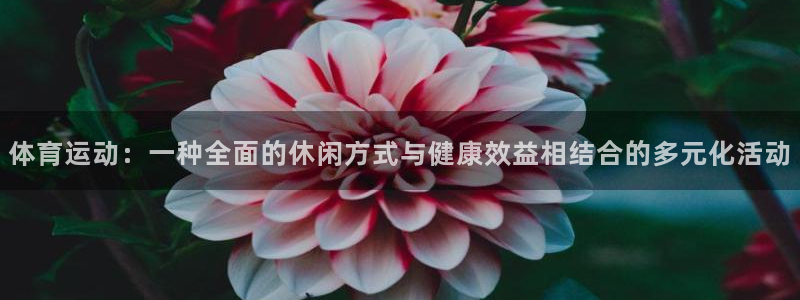 意昂4能源：体育运动：一种全面的休闲方式与健康效益相结合的多元化活动